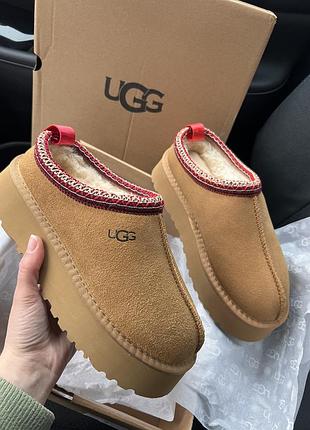 Уггі низькі ugg tazz tassman коричневі