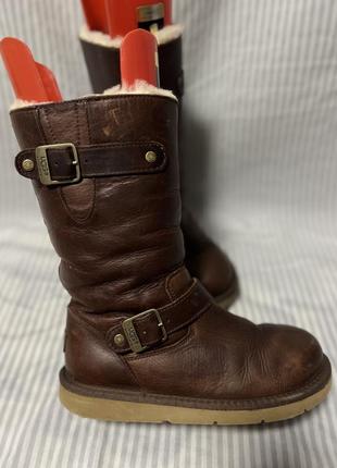 Женские высокие кожаные сапоги ботинки ugg