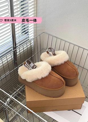 Ugg 6