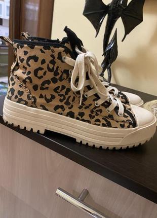 Леопардові кеди zara