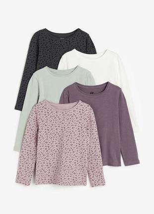 Лонгсліви нм