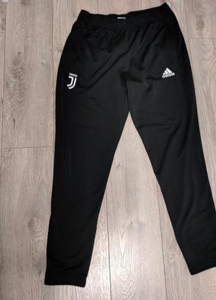 Чоловічі спортивні штани adidas