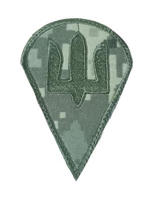 Шеврон герб дшв