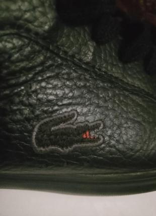 Продам мужские брендовий красовки фирми lacoste