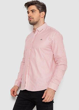 Рубашка мужская в полоску, цвет молочно-розовый, 247r457