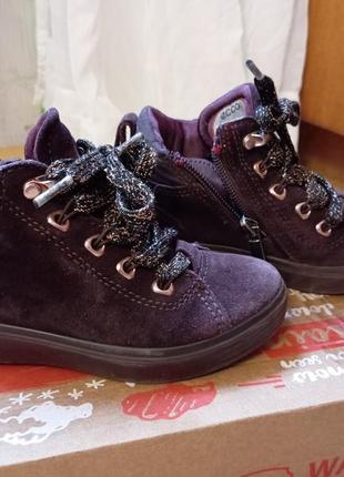 Черевики ecco goretex