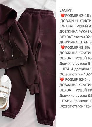 Костюм спортивний теплий на флісі з худі на замку