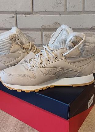 Женские зимние ботинки reebok 24см
натуральная кожа