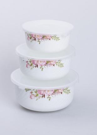 Набір керамічний харчових контейнерів 3 шт салатники з кришками