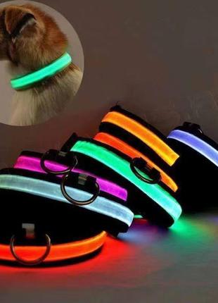 Нашийник, що світиться на акумуляторі usb glow ring (200 шт./яский)