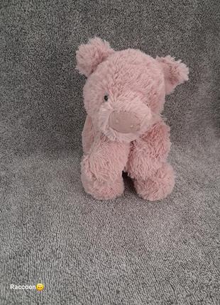 Мягкая игрушка, свинья, свинка, jellycat + подарок