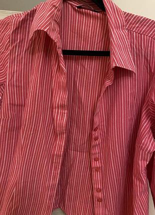 Рубашка papaya 4