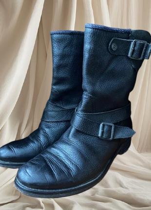 Tommy hilfiger кожаные сапоги козаки