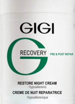 Recovery restore night cream gigi 💤відновлюючий нічний крем