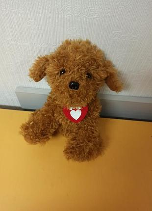 М'яка собачка біля 30 см,