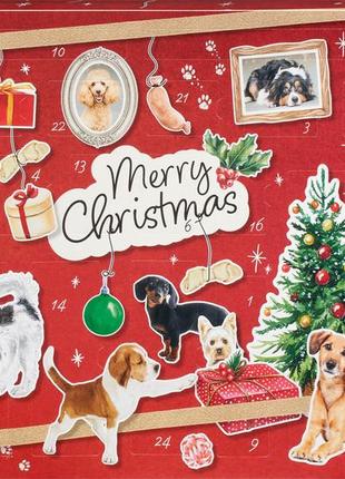 Адвент для собак dein beste dogs advent calendar 515g