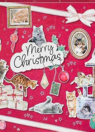 Адвент для котів dein beste cats advent calendar 481g