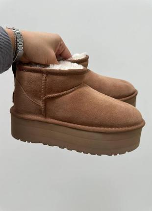 Угги ugg
