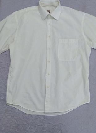Рубашка, белая, от studio ferré, коттон