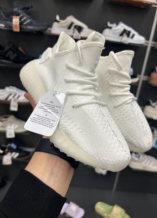 Кросівки adidas apoyo Originals ZX 10