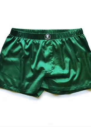 Труси шорти d.m wear