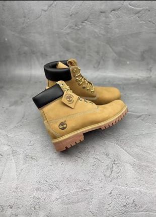 Timberland