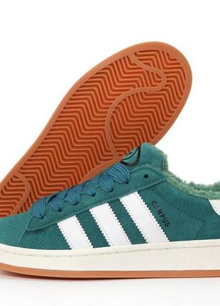 Adidas campus зимние