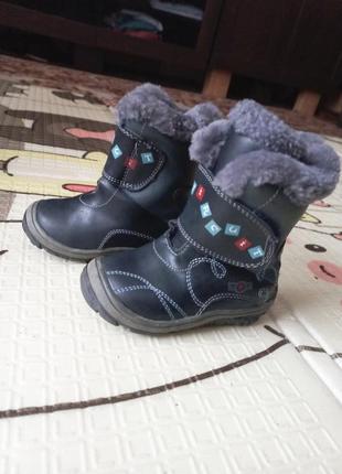 Сапоги зимние на меху
