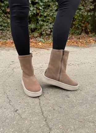 Угги женские высокие зимние бежевая шоре натуральная итальянская замша ugg уги ботинки сап...