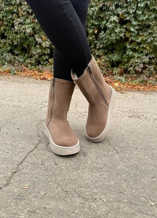 Угги женские высокие зимние бежевая шоре натуральная итальянская замша ugg уги ботинки сап...