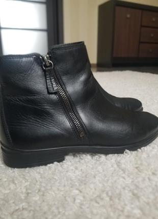 Кожаные ботинки челси ecco