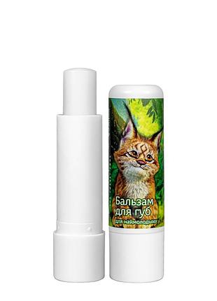 Бальзам стік для губ mavka colour intense зволожуючий, 01 рисенятко