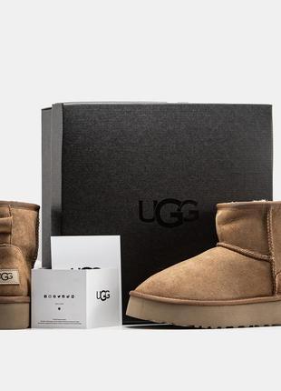 Угги уггі угг of boots and booties from brands like Ugg