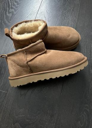 Замшевые сапоги ugg classic ultra mini оригинал