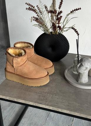 Угги уггі угг Shadow ugg classic mini chestnut platform