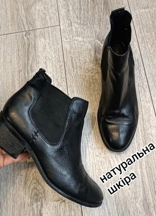 Стильные демисезонные ботинки челси / ботинки из натуральной кожи