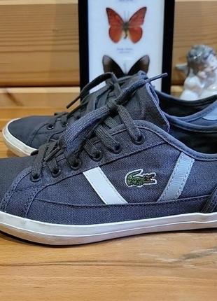 Кеды lacoste