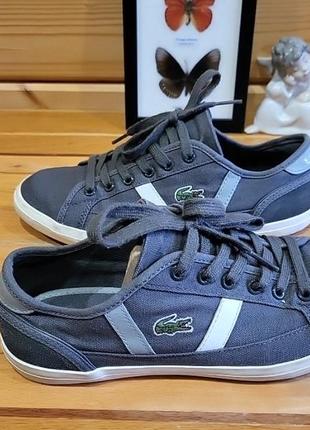 Кеды lacoste6 фото