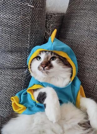 Костюм динозавра на котика\малу собачку