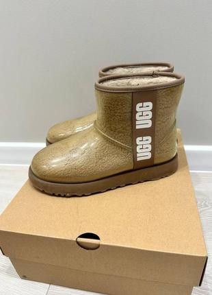 Черевики ugg, оригінал, з коробкою