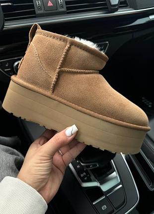 Жіночі зимові угги ugg mini  platform