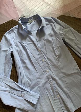 Белая в голубую полоску рубашка классическая xs s m h&m