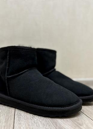 Классические короткие австралийские ugg