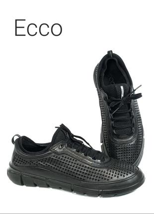 Кожаные кроссовки ecco intrinsic 1 оригинал