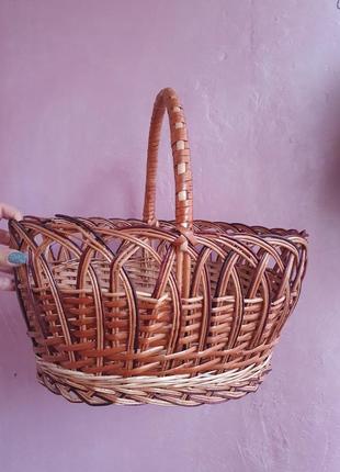 Велика корзина лоза