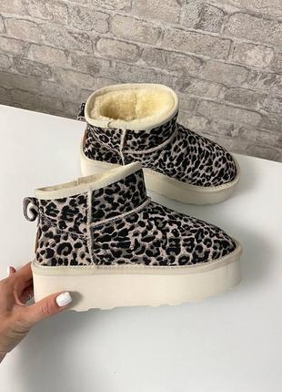 Зимние угги ugg