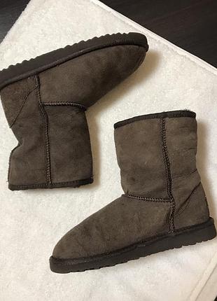 Уггиugg аustralia оригинал 4