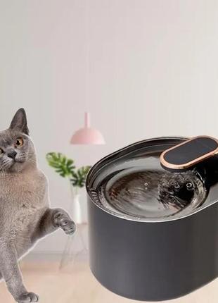 Автоматична поїлка для тварин 3 л фонтан для котів і собак pet water dispenser ukc зі змінним фільтром5 фото