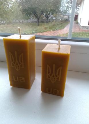 Свічки із чистого бджолиного воску