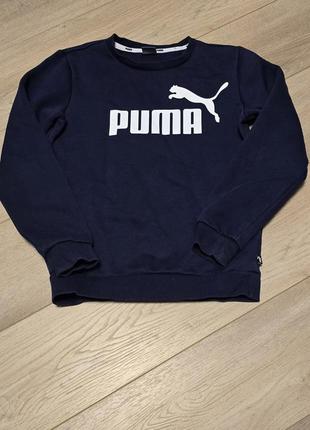 Толстовка, худи, кофта, свитшот puma оригинал на мальчика или девочку 11-12 лет